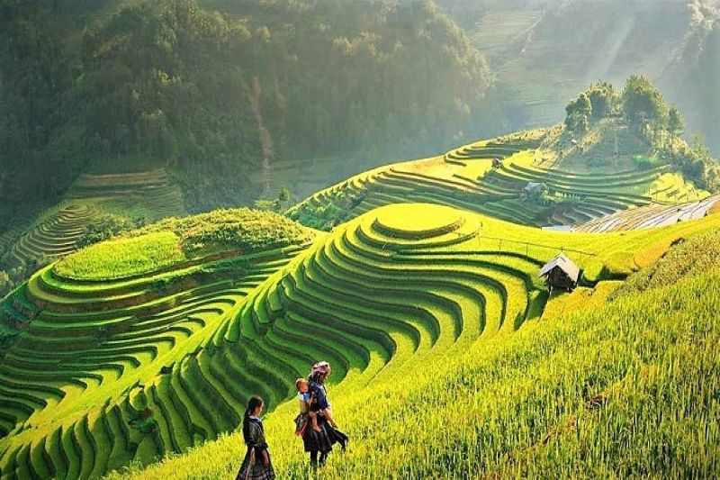 Unveiling Vietnam Accessible Car Rentals for Tourists