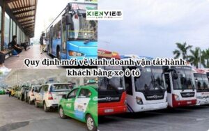 Dịch Vụ Xe Du Lịch Hỗ Trợ Người Khuyết Tật tại Việt Nam - Xây Dựng Một Hành Trình Đầy Ý Nghĩa